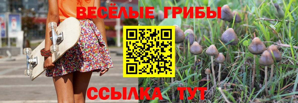 Галлюциногенные грибы прущие грибы  Вход с VPN  Псилоцибиновые грибы Psilocybe  Тавда 