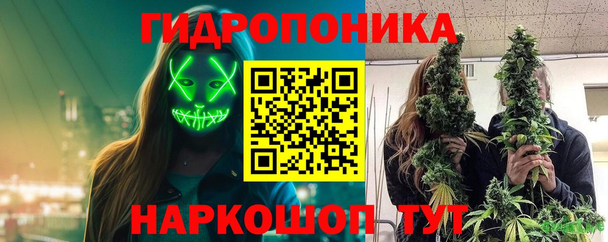 Бошки Шишки AK-47  Марихуана семена  Бошки Шишки LSD WEED  Тавда  Вход с VPN 
